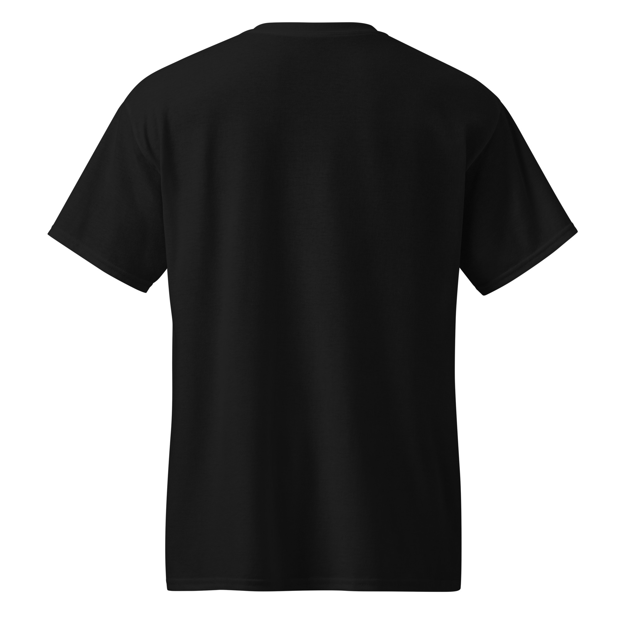 unisex-sports-tee-black-back-682d0b54436fd.jpg