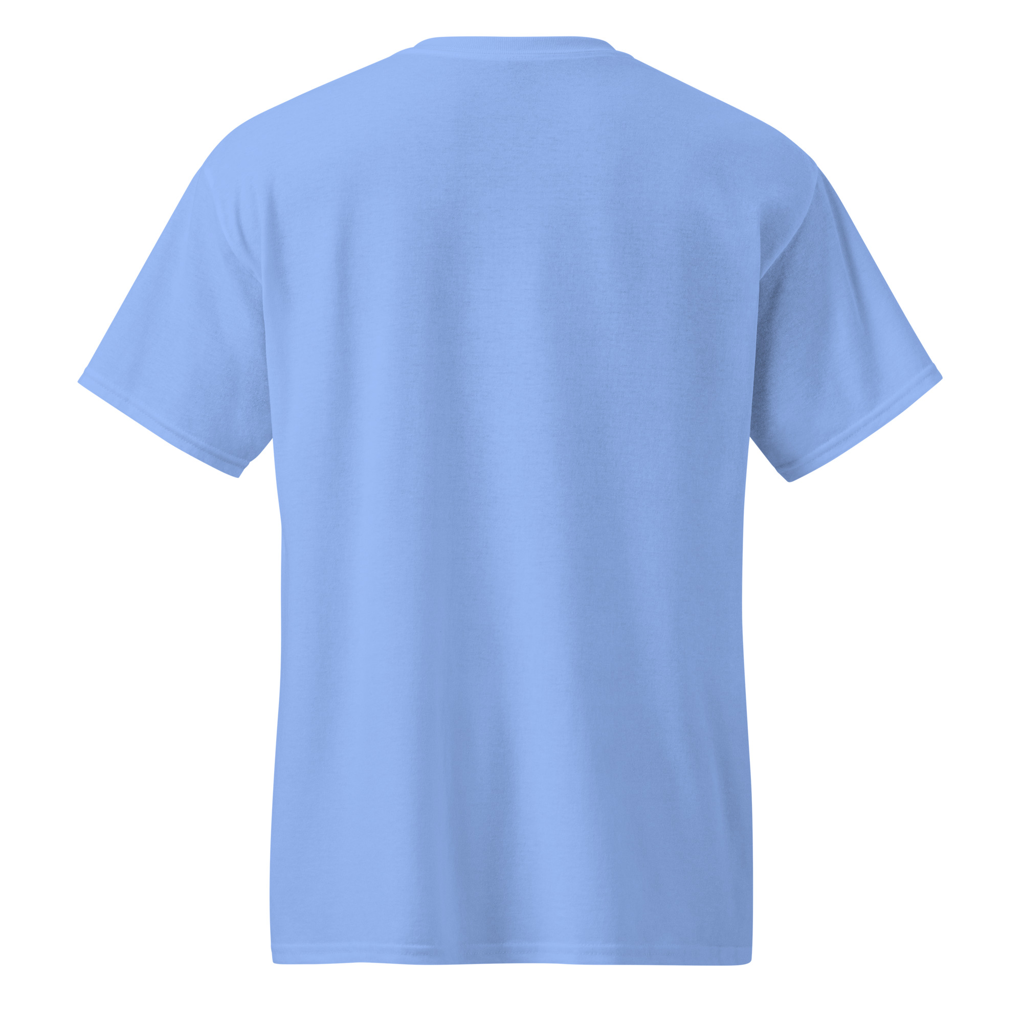 unisex-sports-tee-carolina-blue-back-682d0b5507ecf.jpg