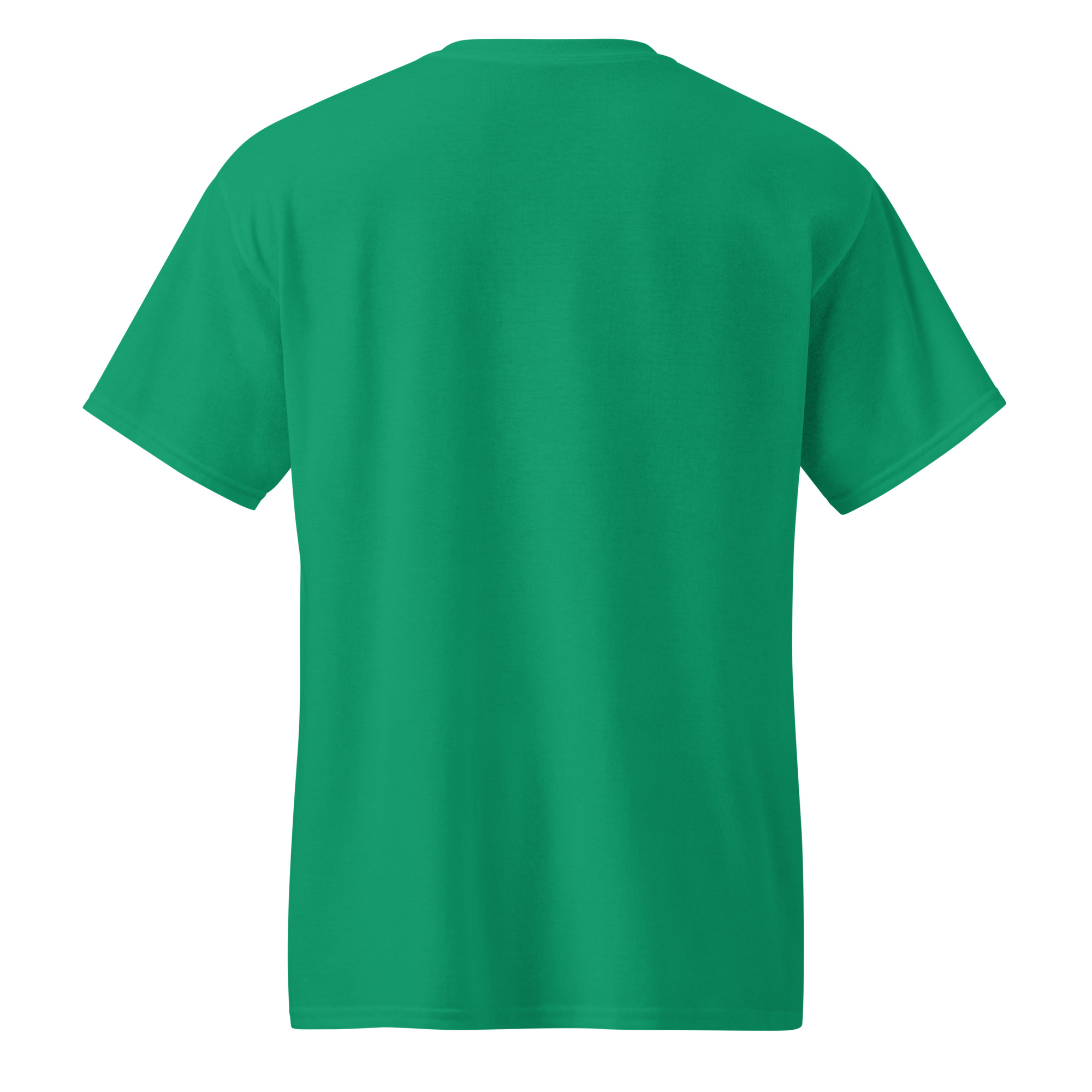 unisex-sports-tee-kelly-green-back-682d0b549a2c7.jpg